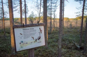Pakosuon lintuja-opastetaulu, Salamajärven kansallispuisto. Kuva: Upe Nykänen/retkeilyKS