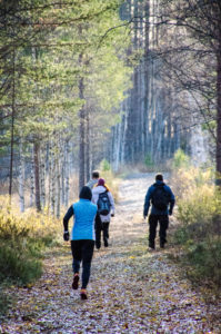 Polkujuoksija syksyllä Salamajärven kansallispuistossa. Kuva: Upe Nykänen/retkeilyKS