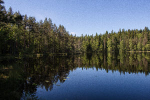 Vaarunvuorten luontopolun järvimaisemaa. Kuva: Elina Lamminaho/retkeilyKS