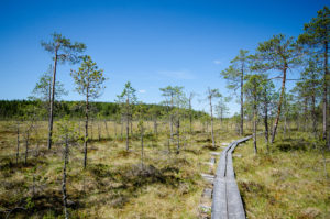 Pitkospuita suolla, Pyhä-Häkin kansallispuisto